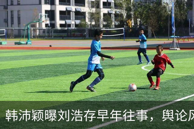 韩沛颖曝刘浩存早年往事，舆论风波引发关注
